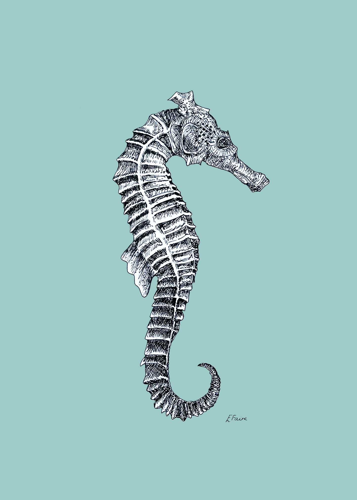 'Sebastian' Seahorse Postcards - Pastel